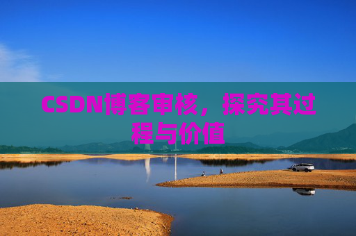 CSDN博客审核，探究其过程与价值